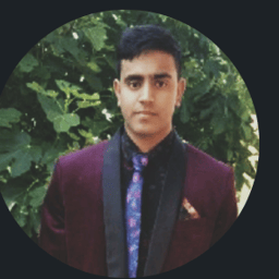 Photo of Krishna P.