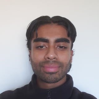 Photo of Arvin S.